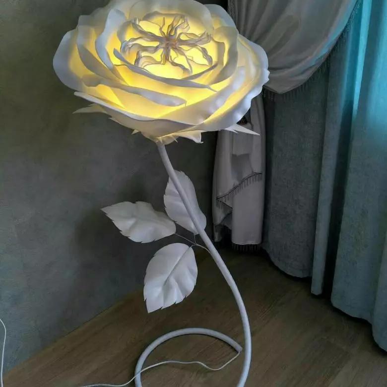 Lampes pour enfants de Isolon: Pour les garçons et les filles, faites des nocturnes pour enfants avec leurs propres mains sur une classe de maître 26817_11