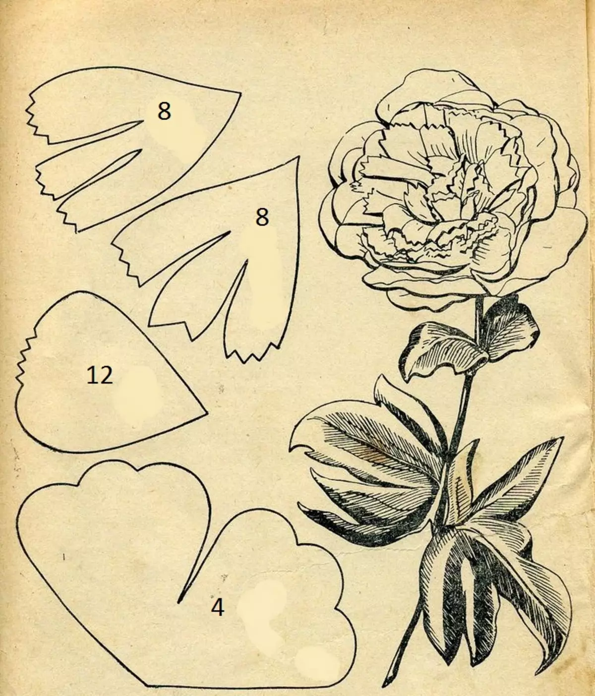 Insolon Peonies (39 fotografij): svetilke in rast cvet, magistrski razred in cvetlični vzorci. Kako narediti majhne peoni z lastnimi rokami? 26818_16