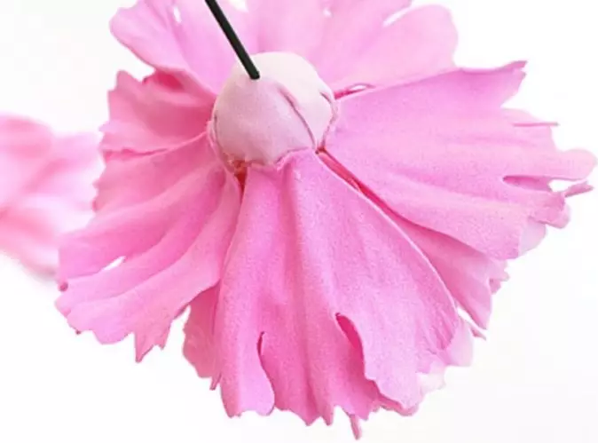 Insolon Peonies (39 fotografija): svjetiljka i rast cvijet, majstor i uzorci latica. Kako napraviti male božuje vlastitim rukama? 26818_25