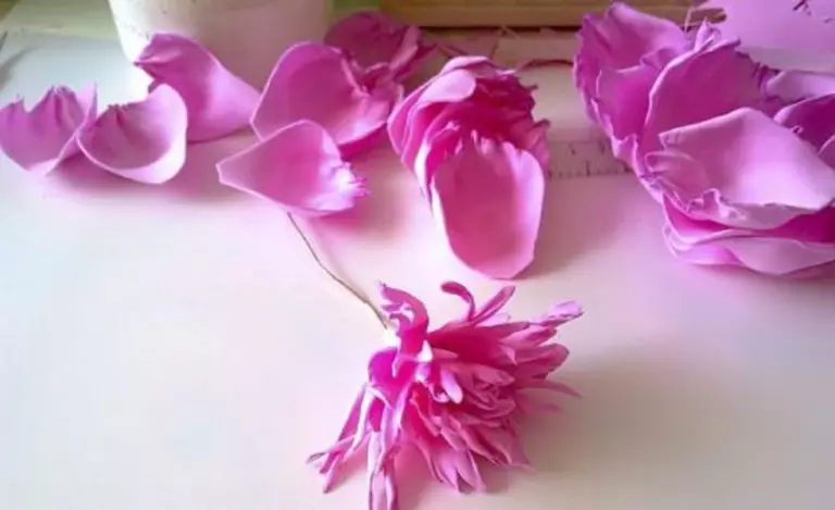 Insolon Peonies（39写真）：ランプと成長の花、マスタークラス、花びらパターン。自分の手で小さな牡丹を作る方法は？ 26818_34