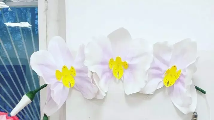 Orhidejas no izolona (28 fotogrāfijas): maģistra klase lampas ražošanā no augšanas orhidejām veidnē. Kā padarīt citus ziedus ar savām rokām? 26822_4