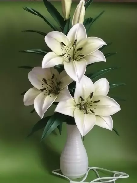Lilije iz Isolona (46 fotografij): Kako narediti svetilko na glavnem razredu? Predloge popkov in cvetnih listov rastnih barv z dimenzijami 26829_42