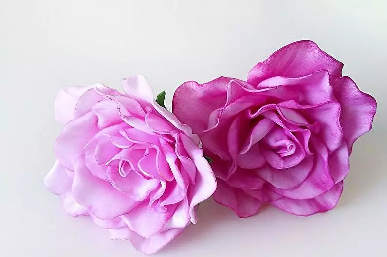 Little rozes no foamiran: kā padarīt tos veidnes no lokiem? Soli pa solim Master klase par rozēm ar savām rokām. Skaisti ziedu darbi no putas 26834_18