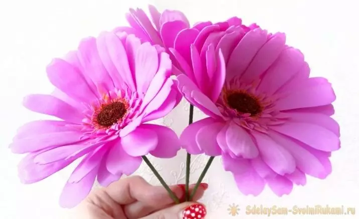 Gerbera จาก Foamyran (28 รูป): Master Class พร้อมภาพถ่ายทีละขั้นตอน วิธีการทำ Rostov Gerbera Rostov? แม่แบบสี 26839_26