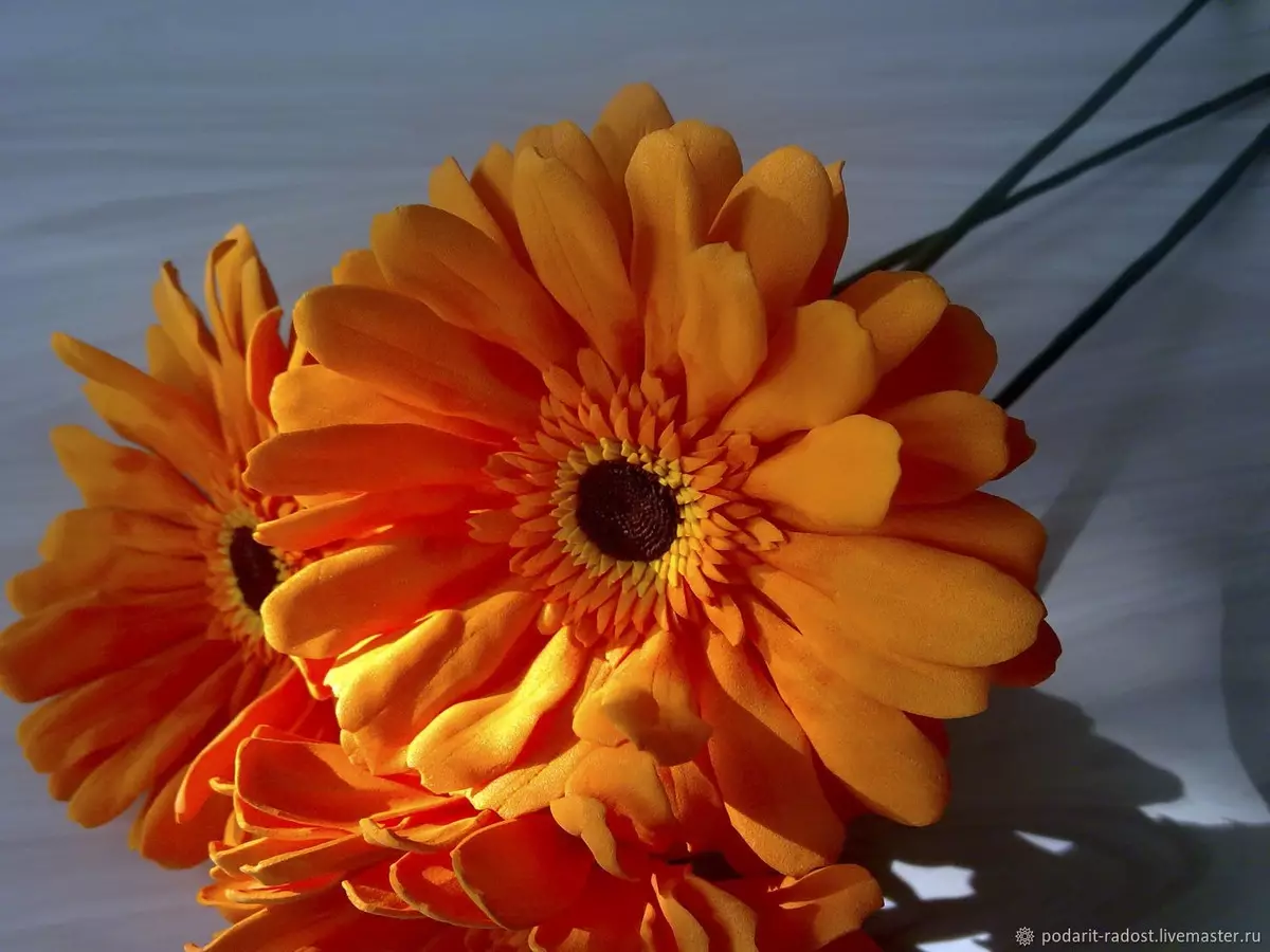 Gerbera FOAMYRANilt (28 fotot): Master klassi samm-sammult fotosid. Kuidas teha Rostov Gerbera Rostov? Värvimallid 26839_6