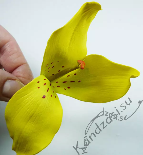 Ljiljani iz Foaamuran (59 fotografija): Korak-po-korak majstori za početnike, učinite to sami predloške. Kako napraviti cvijet? 26844_37