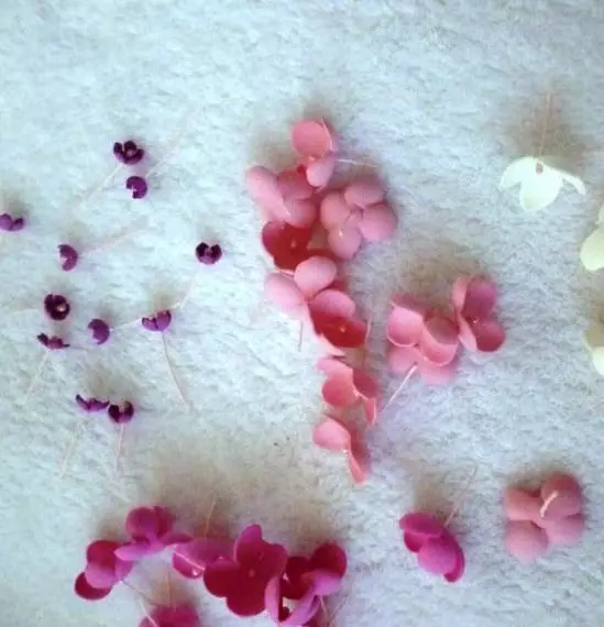 Lilac z Foamiranu: Jak se udělejte sami na stupňové třídě s šablonami? Výroba květin z marshmallow a jiných photora 26853_16