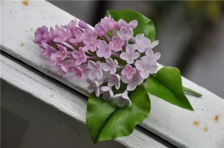 Lilac iz pene: kako da se sami napravite na korak po korak glavna klasa sa predlošcima? Proizvodnja cvijeća iz marshmallow i ostalog Phoamira 26853_21