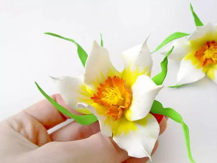 Narcissus FoamyRan: malleja ja master-luokka. Kuinka tehdä suuria ja muita kukkia omalla kädet askel askeleelta? 26861_2