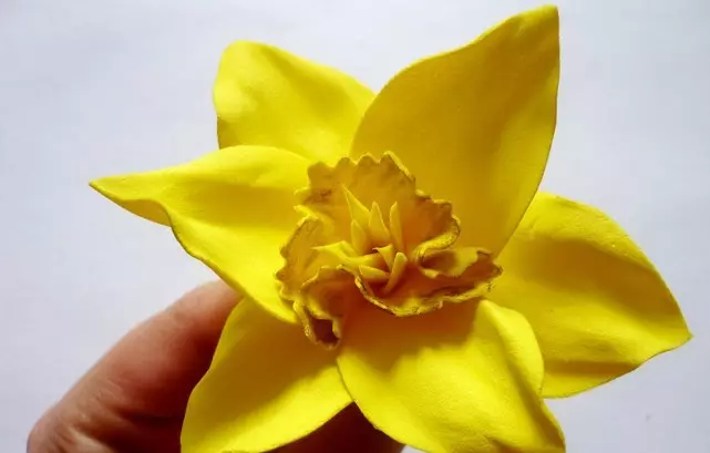 Narcissus FoamyRan: malleja ja master-luokka. Kuinka tehdä suuria ja muita kukkia omalla kädet askel askeleelta? 26861_21