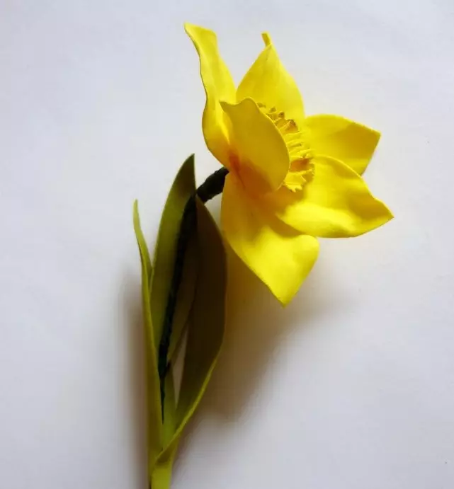 Narcissus FoamyRan: malleja ja master-luokka. Kuinka tehdä suuria ja muita kukkia omalla kädet askel askeleelta? 26861_24