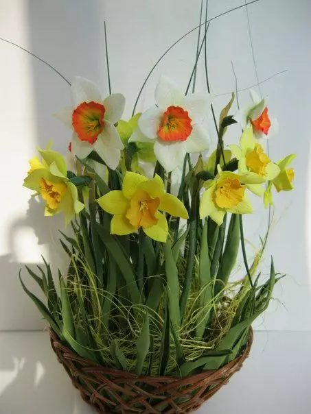 Narcissus FoamyRan: malleja ja master-luokka. Kuinka tehdä suuria ja muita kukkia omalla kädet askel askeleelta? 26861_4