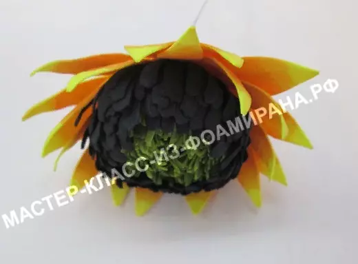 Floarea-soarelui de la Foamyran (28 poze): Facem o creștere în propriile mâini, pas-cu-pas clase de master, modele și modele 26862_23