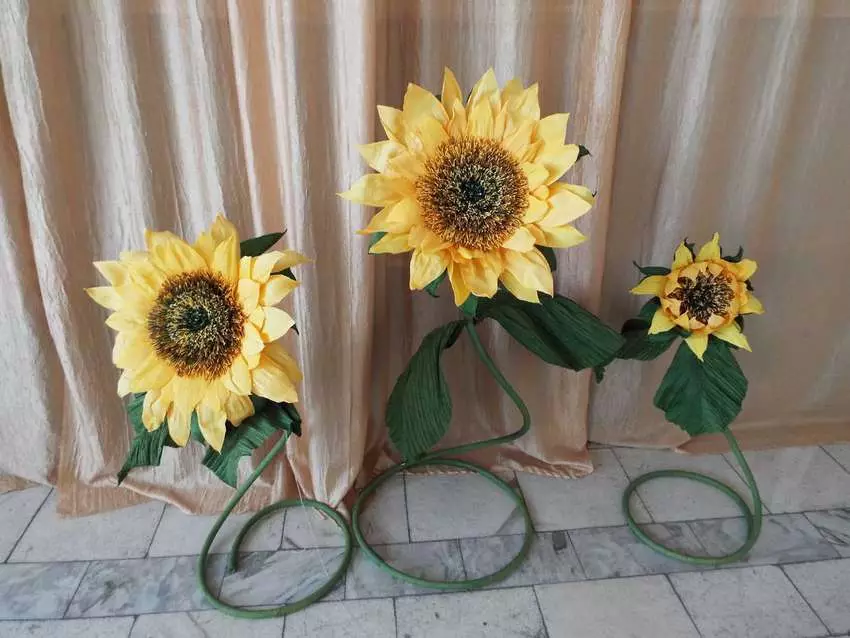 Sunflowers minn Foamyran (28 Ritratti): Nagħmlu t-tkabbir fl-idejn tiegħek, klassijiet tal-kaptan pass pass, mudelli u mudelli 26862_3