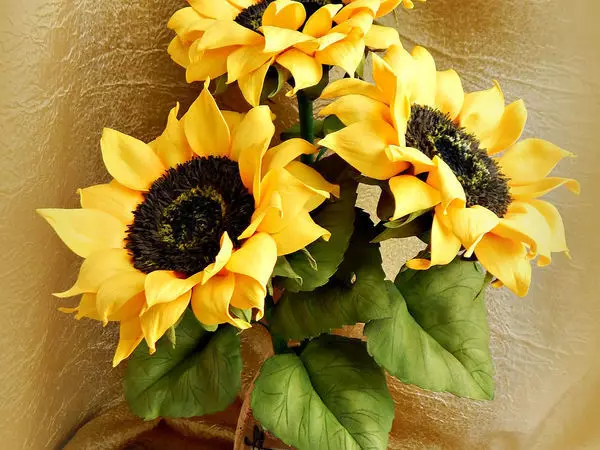Sunflowers minn Foamyran (28 Ritratti): Nagħmlu t-tkabbir fl-idejn tiegħek, klassijiet tal-kaptan pass pass, mudelli u mudelli 26862_4