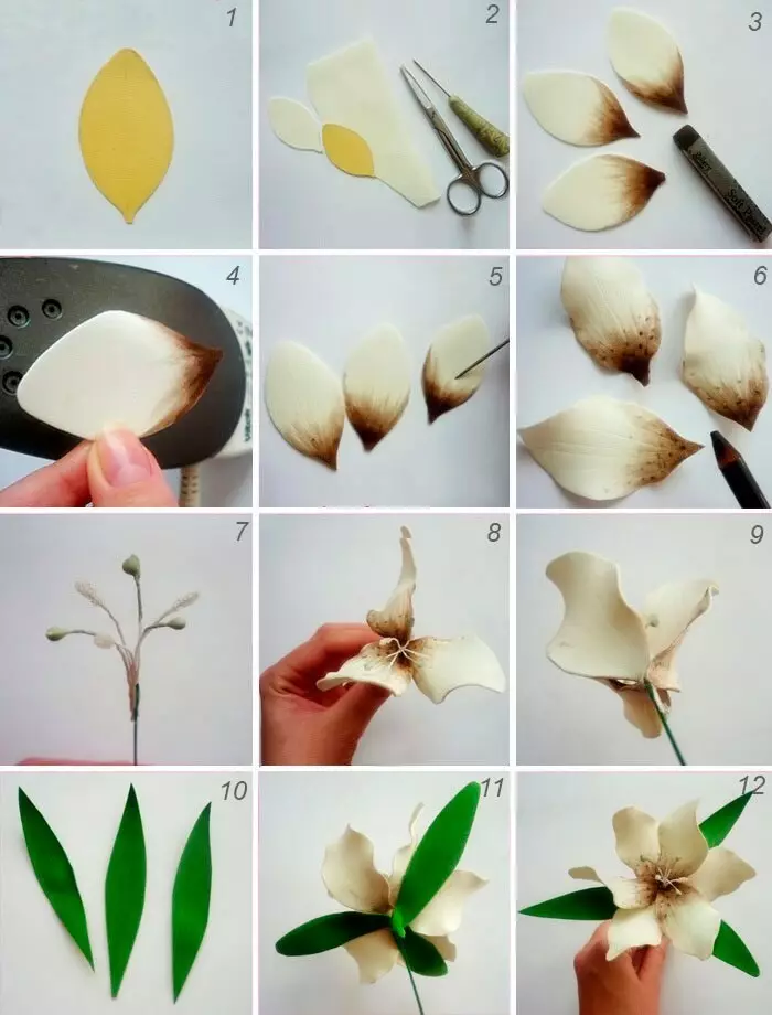 Grandi fiori da Foamiran (34 foto): piano crescita e altri fiori con le proprie mani, master class con step-by-step descrizione e modelli, schemi e modelli 26864_19
