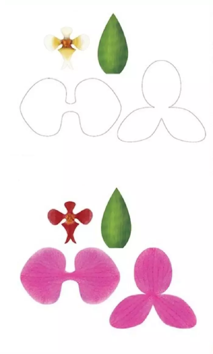Hoa lớn từ foiran (34 ảnh): sàn tăng trưởng và những bông hoa khác với bàn tay của chính họ, lớp chính với mô tả từng bước và mô hình, sơ đồ và mẫu 26864_20