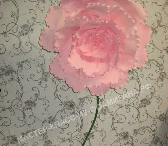 Μεγάλα τριαντάφυλλα από το αφρώδες: Πώς να φτιάξετε ένα αγενές πάτωμα τριαντάφυλλο για το εσωτερικό με τα χέρια τους; Master Class με φωτογραφίες βήμα προς βήμα, πρότυπα για μεγάλα χρώματα 26867_32