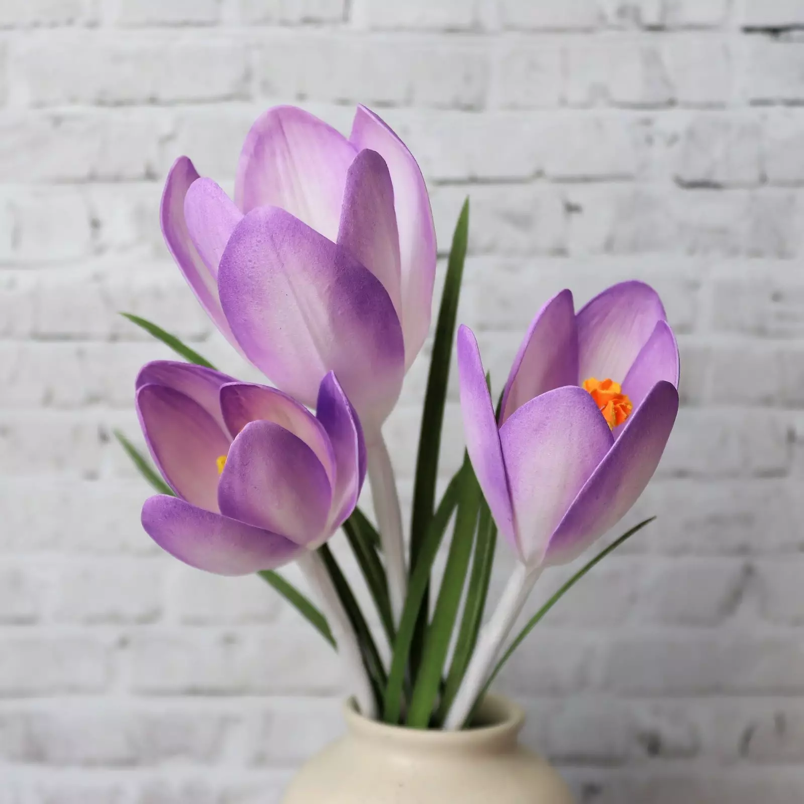 Foamiran-Krokusse (40 Fotos): Vorlagen und Master-Klassen mit einer Schritt-für-Schritt-Beschreibung. Wie kann man einen Blumenstrauß mit Blumen mit deinen eigenen Händen machen? Schema für Anfänger 26870_2