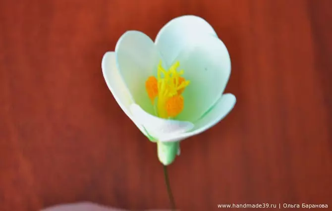 Foamiran Crocuses (40 bilder): maler og master klasser med en trinnvis beskrivelse. Hvordan lage en bukett med blomster med egne hender? Ordningen for nybegynnere 26870_26