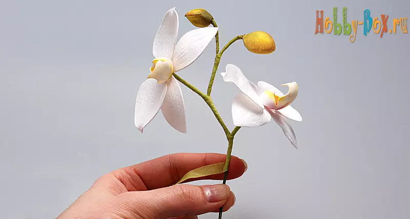 初心者のためのFoamiranからの花（84枚）：自分の手で製造するためのステップバイステップのスキームやパターン、シンプルなマスタークラス 26873_23