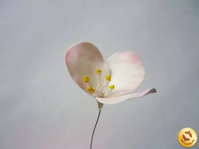 Gėlės nuo Foamiran pradedantiesiems (84 nuotraukos): žingsnis po žingsnio schemos ir gamybos modeliai su savo rankomis, paprastos meistriškos klasės 26873_74