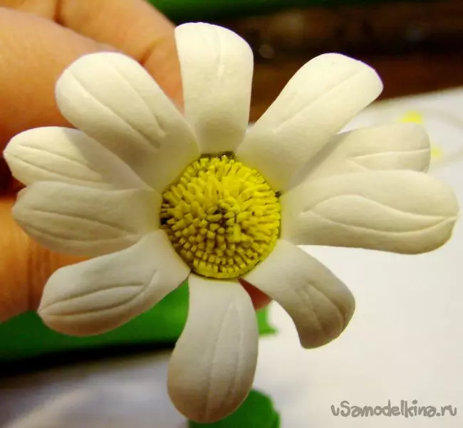 Chamomile từ foamyran (40 ảnh): Lớp học và mẫu riêng từng bước. Làm thế nào để tạo một bó hoa với bàn tay của riêng bạn theo đề án cho người mới bắt đầu? 26879_22