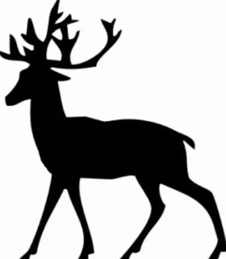 Wire Deer Το κάνετε μόνοι σας: ένα σταδιακό σχέδιο για τη δημιουργία ενός νέου έτους ελάφια με γιρλάντες. Πώς να φτιάξετε ένα πλαίσιο και σκίτσο; 26884_19