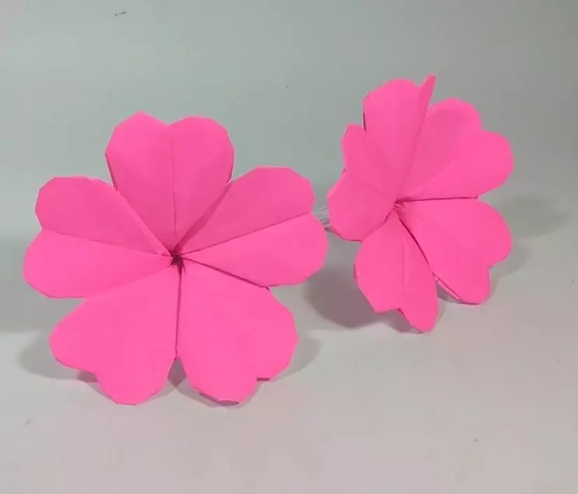Origami del papel de color: ¿Cómo hacer flores de papel de doble cara con tus propias manos? Artesanía para niños, modelos de luz de papel unilateral. 26933_25