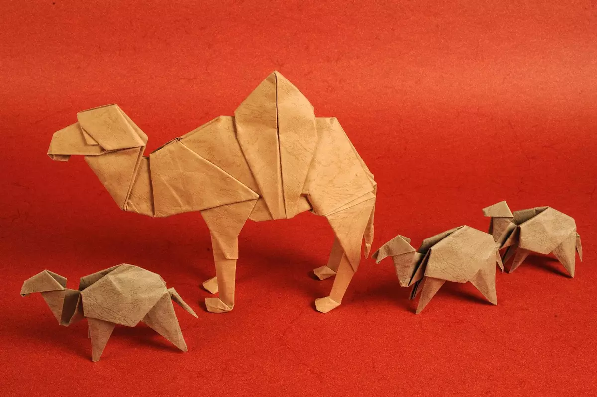Origami (97 mafoto): Chii icho? Manhamba naKurume 8 yebhuku rekunyorera. Mhando dzeJapan Art Folding mapepa mapepa. Maitiro Ekuita Zvakasiyana Nhamba? 26950_52