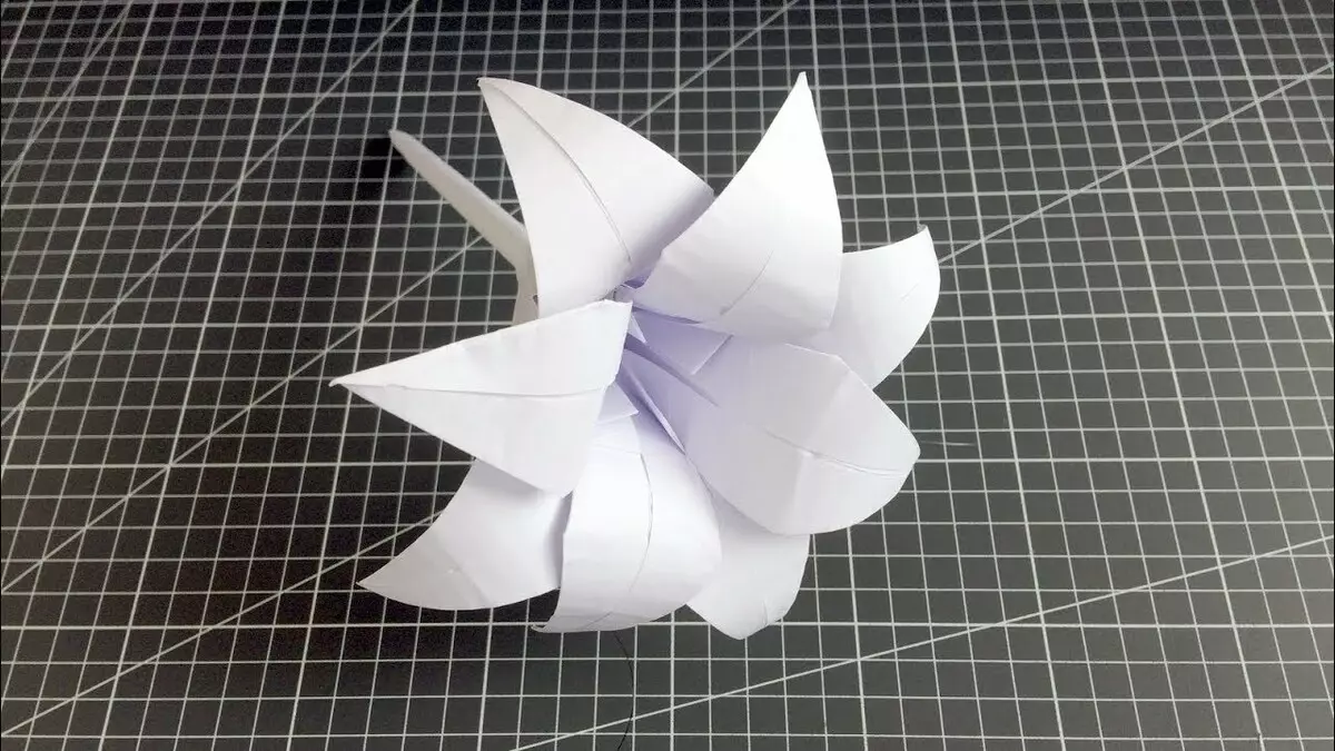 Origami no balta papīra A4: Gaismas origami bērniem 8-9 un 12-13 gadus veci, skaisti vienkārši amatniecība iesācējiem. Pievilcīgas lokšņu skaitļu shēmas 26951_3