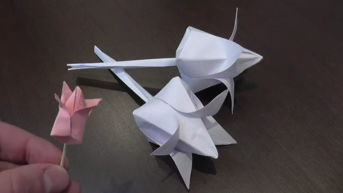 Origami van Witboek A4: Lichte origami voor kinderen van 8-9 en 12-13 jaar oud, prachtige eenvoudige ambachten voor beginners. Gefaseerde schema's van velcijfers 26951_4