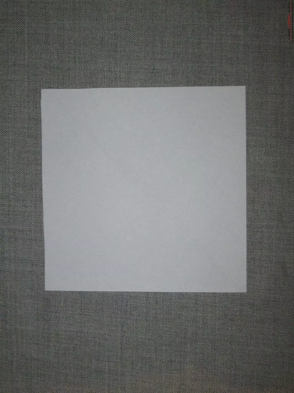 Origami de papel sen cola: como facer unha artesanía de folla A4 sen tesoiras e cola coas túas propias mans paso a paso segundo o esquema? Opcións fáciles 26971_22