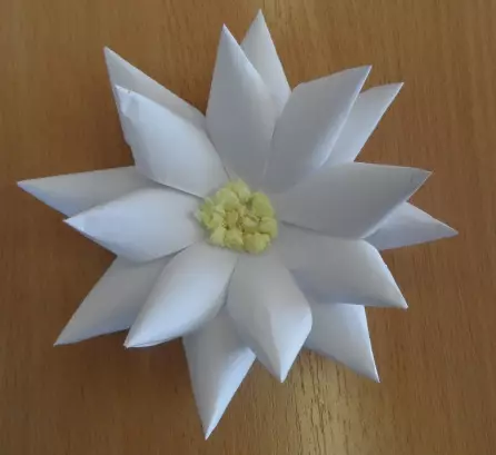 Origami «Waterweewwear» (40 լուսանկար). Ինչպես ծաղիկ պատրաստել թղթի վրա ձեր սեփական ձեռքերով փուլային սխեմայով: Սկսնակների համար մոդուլային օրիգամի ստեղծելու քայլ առ քայլ հրահանգներ 26980_18