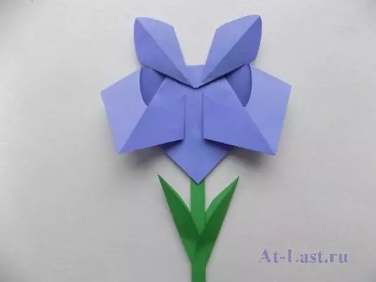 Origami «Iris». Պարզ թղթե ծաղիկ ըստ սխեմայի: Ինչպես կատարել քայլ առ քայլ հրահանգներ էլեգանտ Իրիս իրենց ձեռքերով սկսնակներով: 27028_28