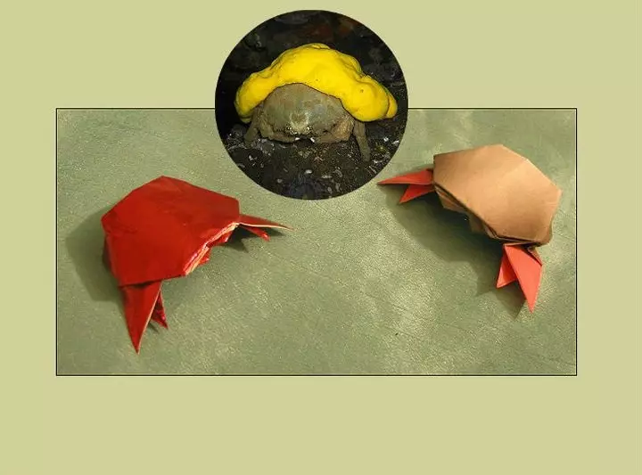 Origami «Crab». Ծովախեցգետին թղթից `ըստ երեխաների սխեմայի: Ինչպես կատարել պարզ ծովախեցգետին քայլ առ քայլ հրահանգների սկսնակներ: Մոդուլային ծովախեցգետին potpno 27036_26