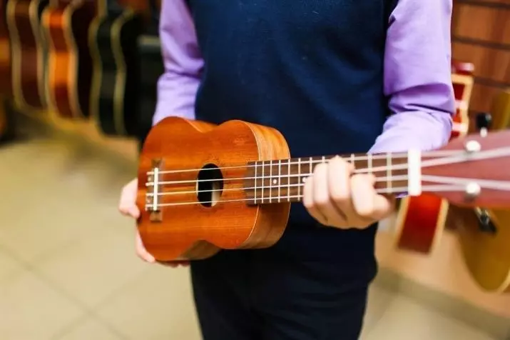 Borba na ukulele: sheme za početnike. Kako igrati „četiri”, reggae i druge vrste? Jednostavan i lagan borba 27075_15