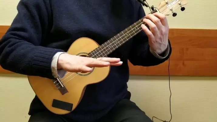 Küzdelem az ukulele-en: a kezdőknek szóló rendszerek. Hogyan kell játszani 