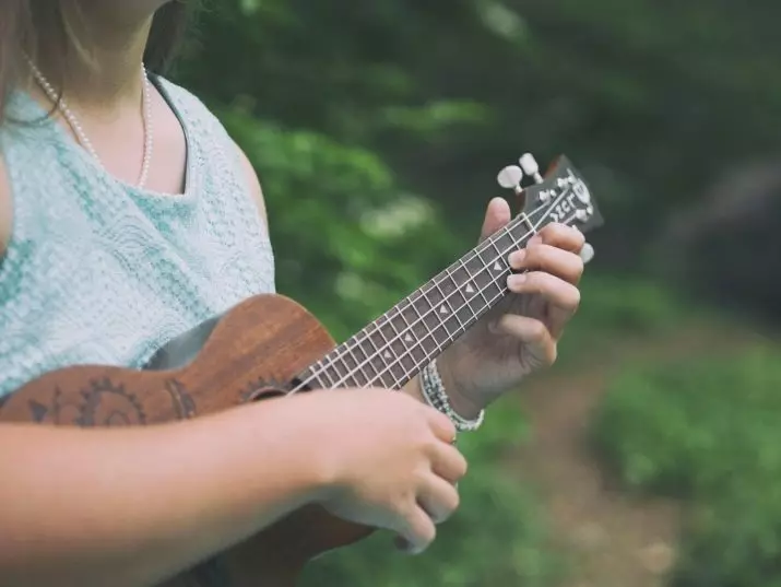 Izbori na ukulele: sheme za početnike. Kako igrati 