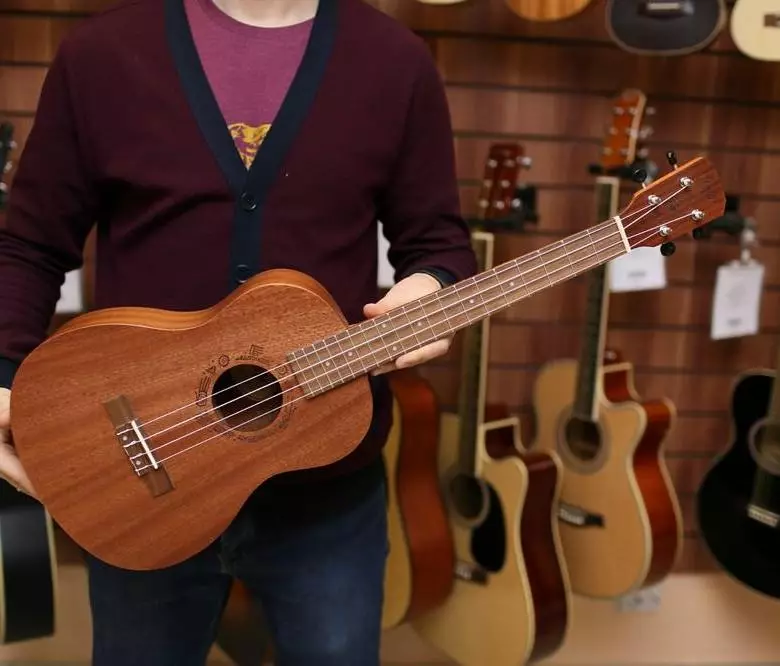 Typer av ukulele: Storlekar i cm, vad är sorter och deras skillnader, modeller 21 inches långa, genomsnittliga och standardalternativ 27076_14