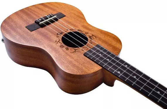Typer av ukulele: Storlekar i cm, vad är sorter och deras skillnader, modeller 21 inches långa, genomsnittliga och standardalternativ 27076_19