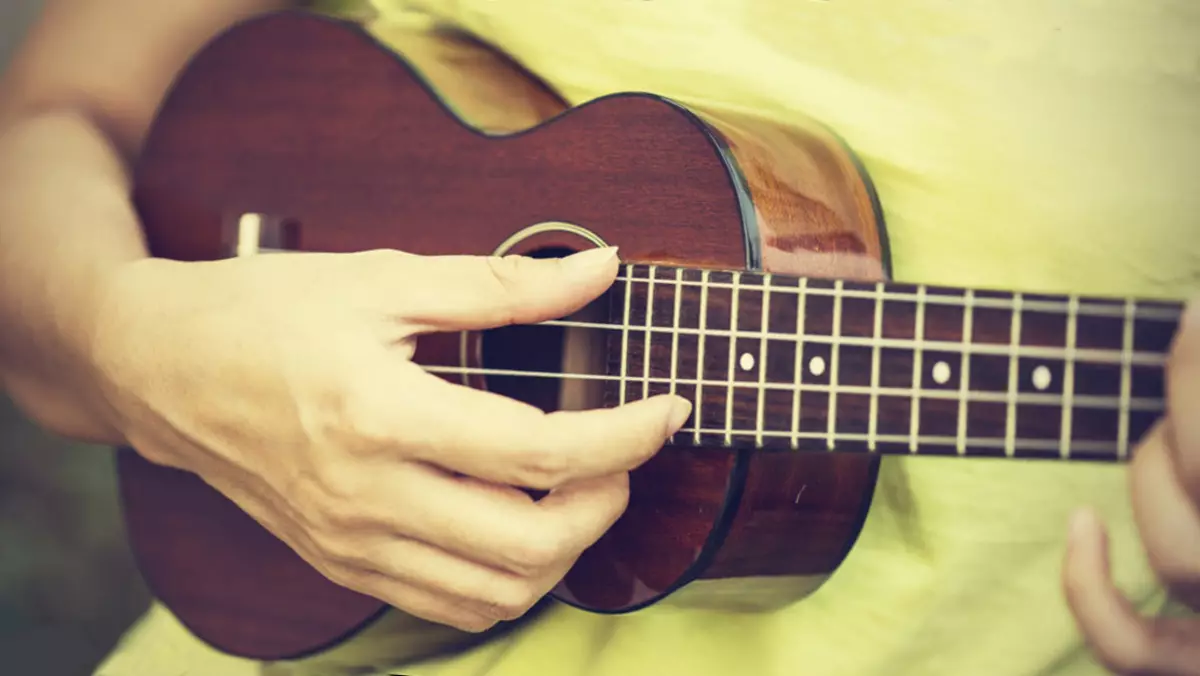 Soarten Ukulele: Gruttes yn sm, wat binne rassen en harren ferskillen, modellen 21 inch lang, gewoane en standert opsjes 27076_2