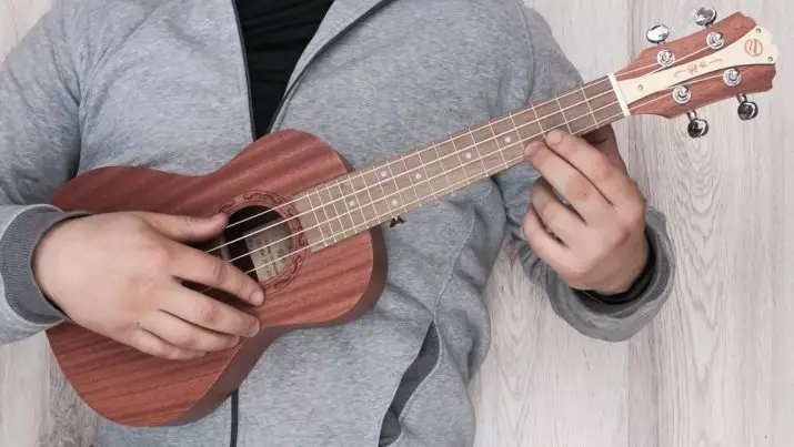 Soarten Ukulele: Gruttes yn sm, wat binne rassen en harren ferskillen, modellen 21 inch lang, gewoane en standert opsjes 27076_21