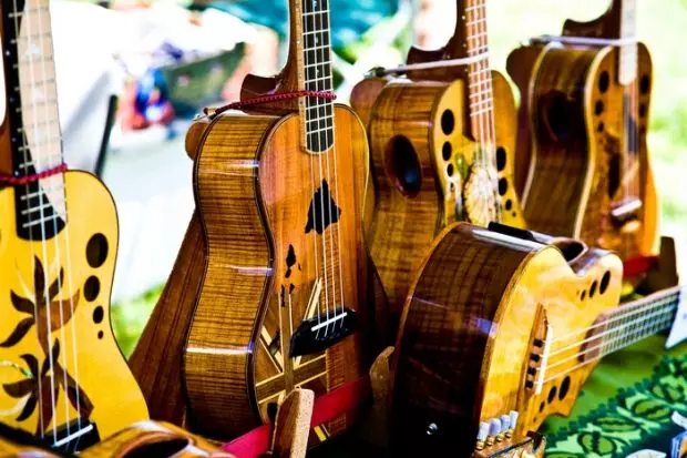 Mga uri ng ukulele: laki sa cm, ano ang mga varieties at ang kanilang mga pagkakaiba, mga modelo 21 pulgada ang haba, average at karaniwang mga pagpipilian 27076_6