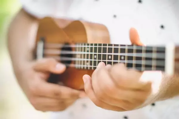 Ställa in ukulele: sopran, konsert och andra. Standard stroke strängar. Hur man konfigurerar en nykomling genom appen och hörs? 27080_4