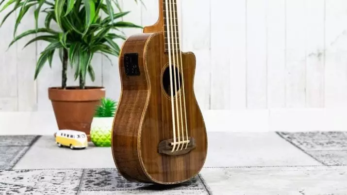 Bass Ukulele: ລັກສະນະຂອງກີຕ້າ bass ແລະຄຸນລັກສະນະ, ລະບົບແລະສຽງ, ແບບທີ່ດີທີ່ສຸດ 27084_14