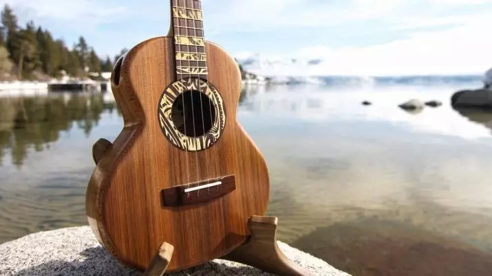 Tenor Ukulele: Sistem lan desain, swara lan tips babagan pilihan ukulele 27085_12