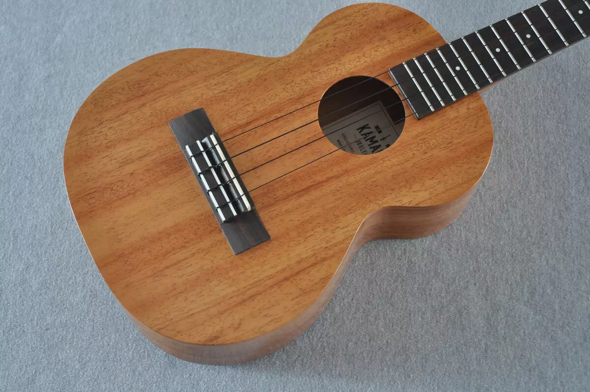 Tenor Ukulele: Sistem lan desain, swara lan tips babagan pilihan ukulele 27085_15