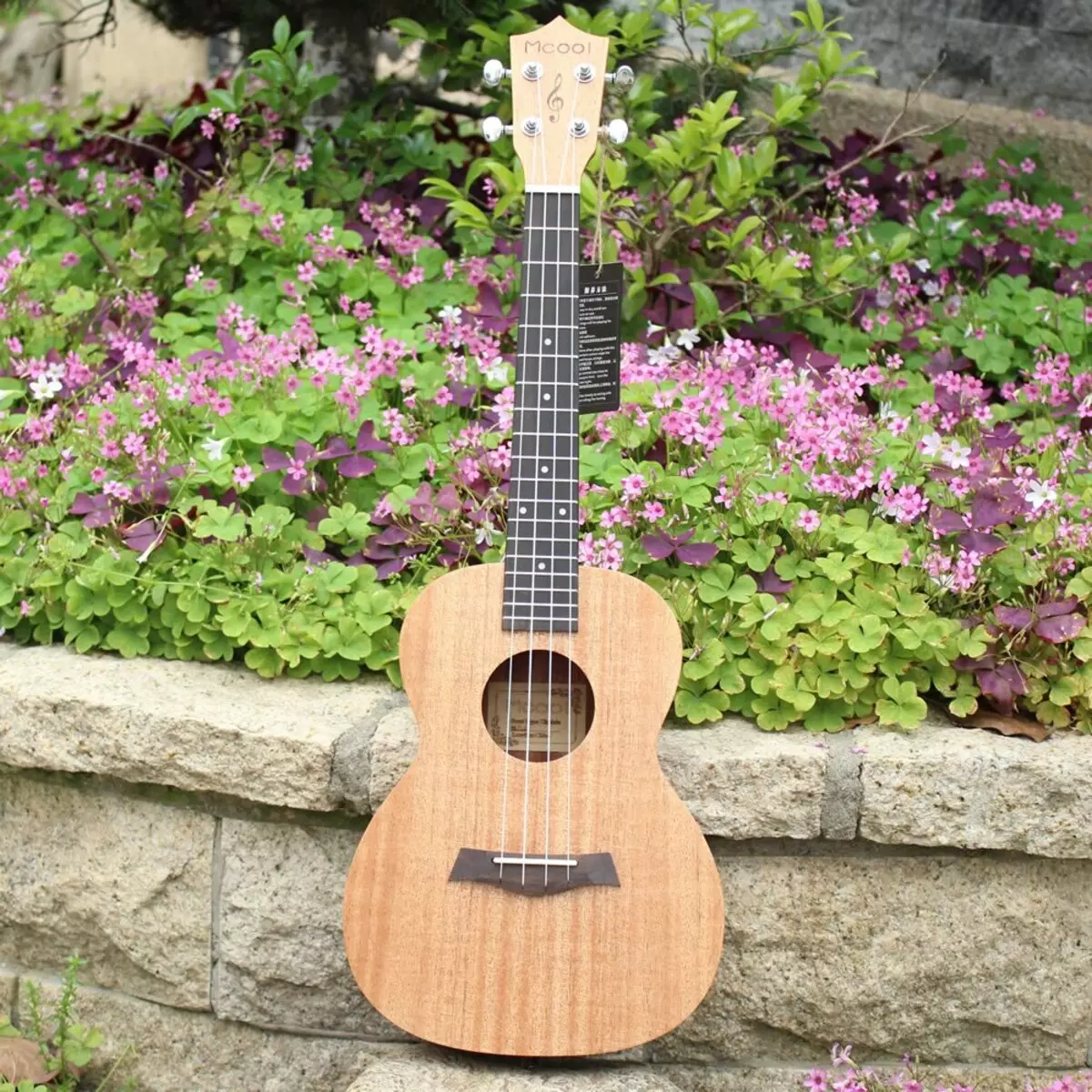 Ukulele tenor: Pergal û sêwirandin, deng û serişteyên li ser bijartina ukulele 27085_2