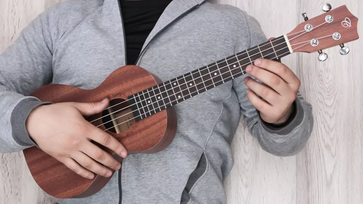 Téhor Ukulel: Sistem sareng Desain, sora sareng tips dina pilihan ukulele 27085_6